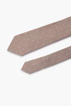Polka Style Formal Tie