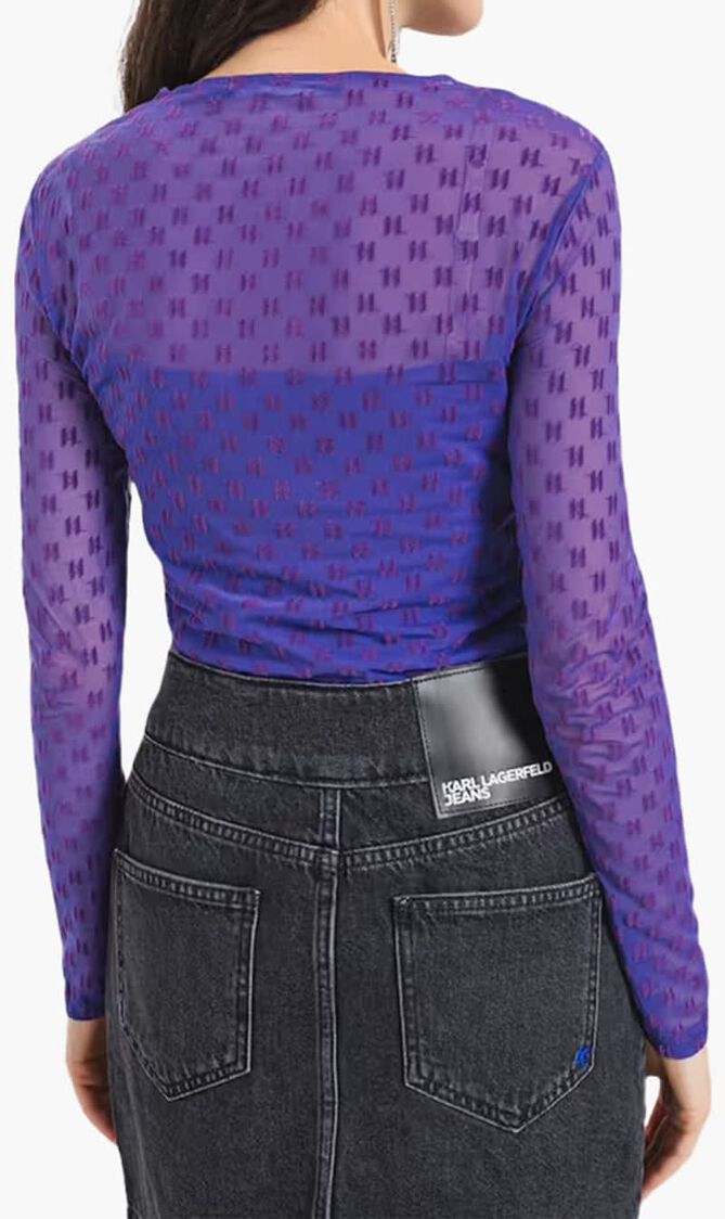 Mesh Long Sleeve Top