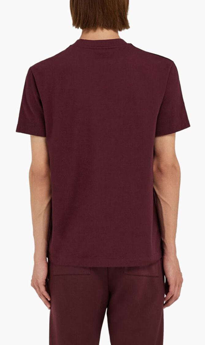 Short Sleeved T-Shirt with Contrasting Stripe