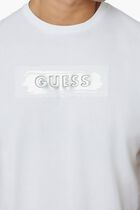 Ss Bsc Metallic Debo - Org Co Single Jersey 140