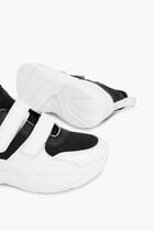 Kelly Canvas Trainer