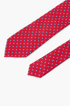 Vibrant Polka Dot Tie