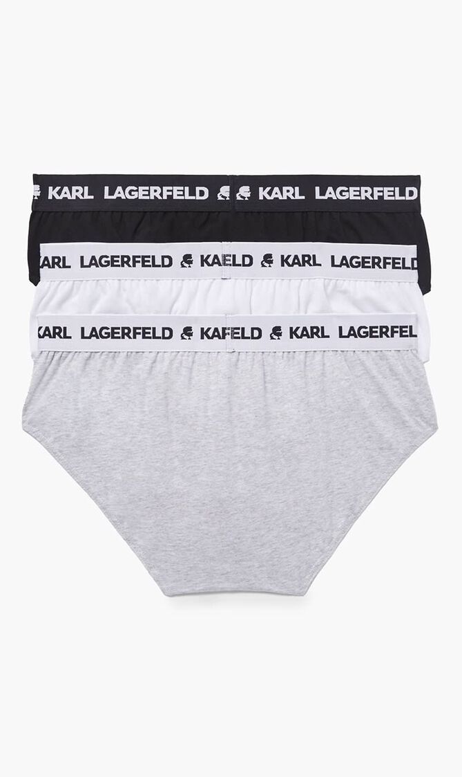 Logo Briefs - 3 Pack