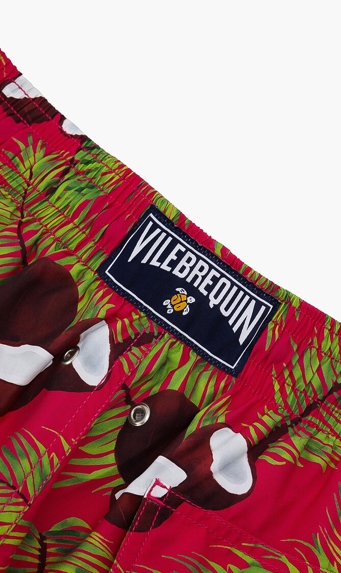 Coconut Printed Shorts