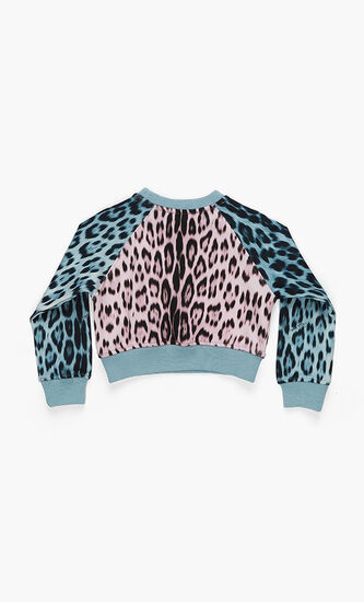 Colourblock Sweatshirt