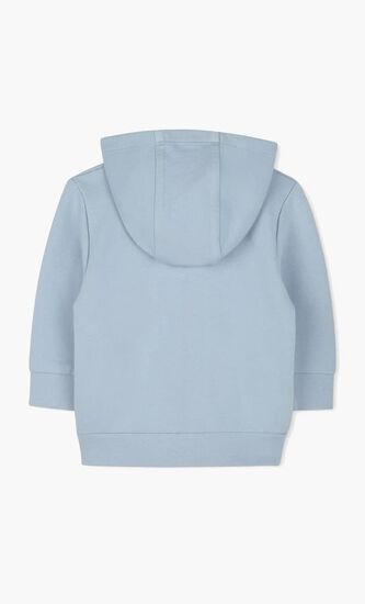 Toddler Classic Zip Up Hoodie