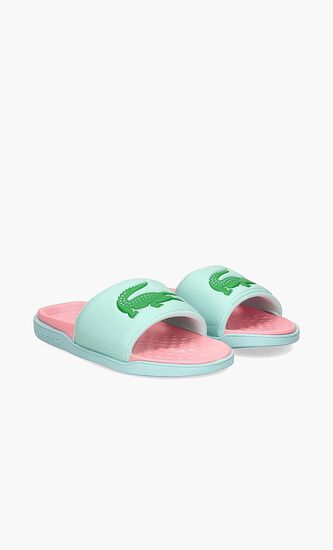 Logo Detail Slides