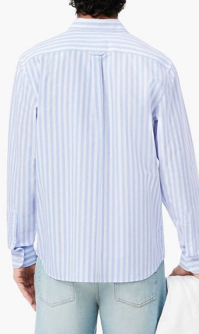 Regular Fit Striped Oxford Cotton Shirt