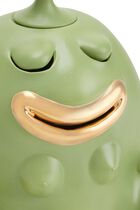 مبخرة هاس ميديتيتور