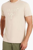 Ss Cn Treated Triangle Tee