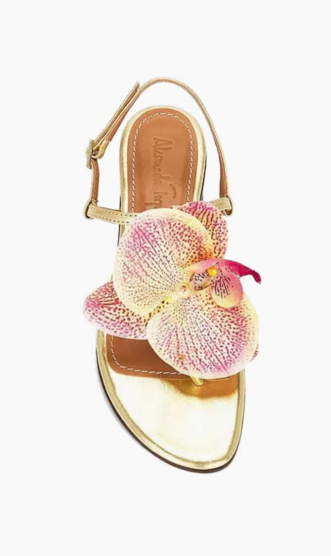 Constance Sandal