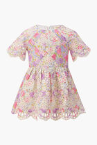 Charlotte Embroidered Mini Dress