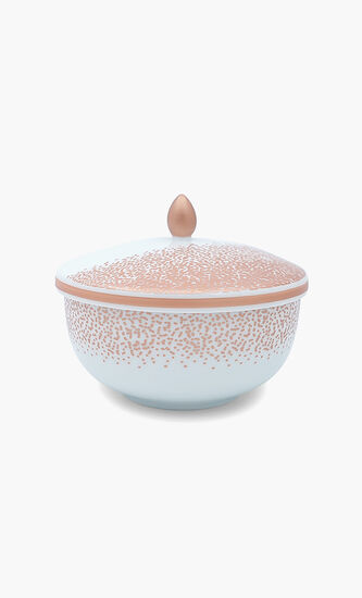 Rice Bowl with lid