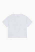 SS T-SHIRT - ORGANIC HEAVY JERSEY 220GSM SS T-SHIRT - ORGANIC HEAVY JERSEY 220GSM