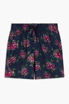 Provencal Turtles Swimshorts