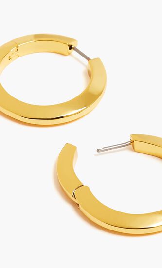 Toni Hinged Hoop Earrings