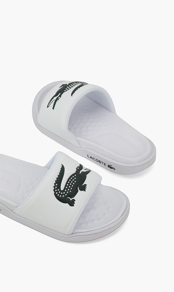 Classic Logo Slides