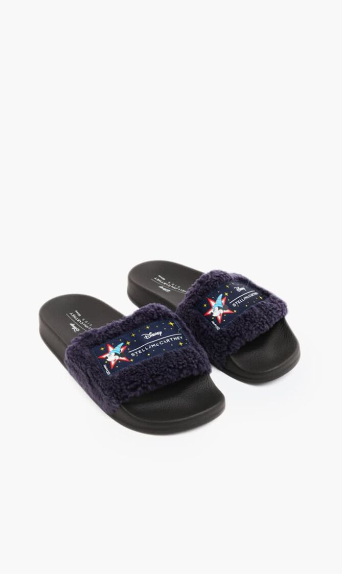 Disney Fantasia Slides