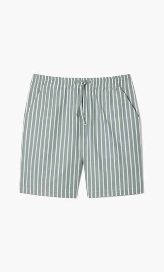 Relaxed Fit Striped Shorts