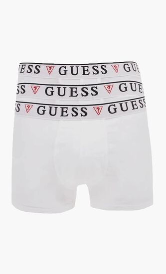 Brian Hero Boxer Trunk