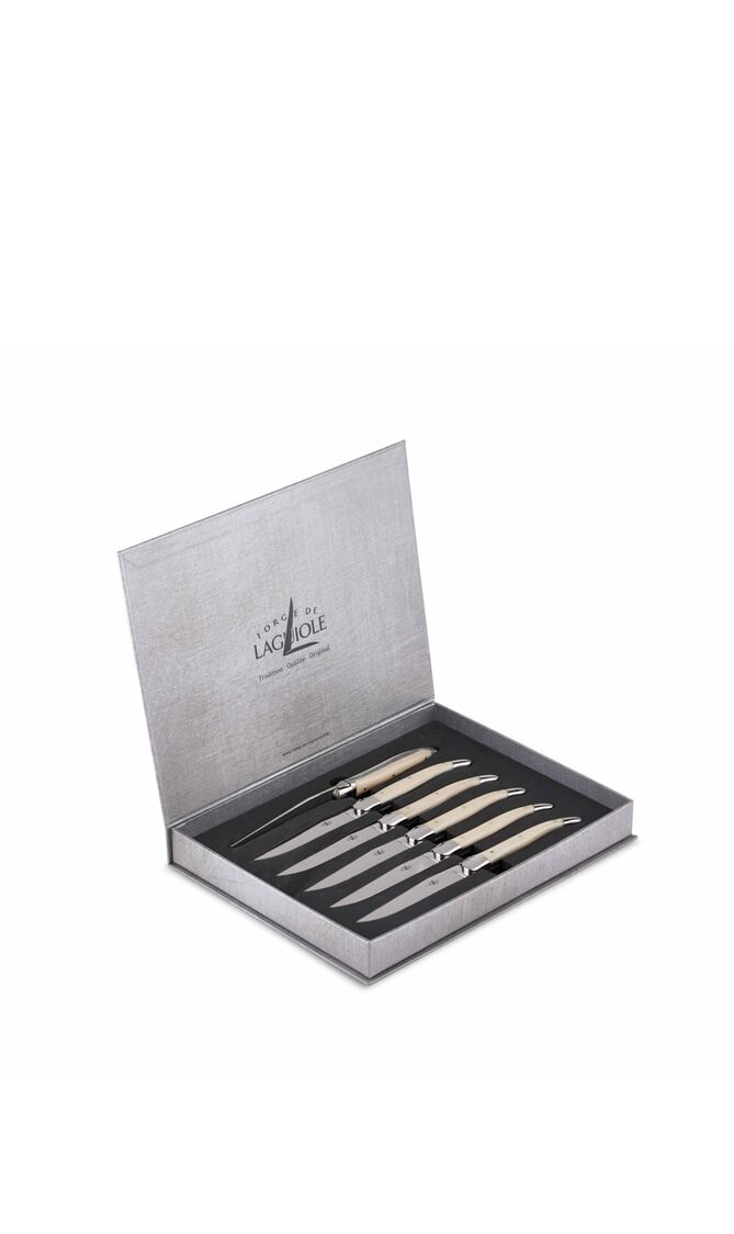 طقم من سكاكين المائدة بمقابض من الأكريليك - 6 سكاكين