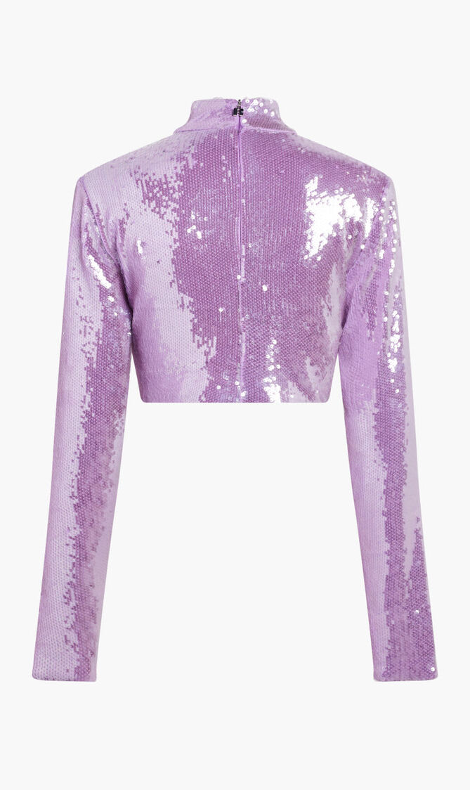 Fibana Sequin Cropped Top