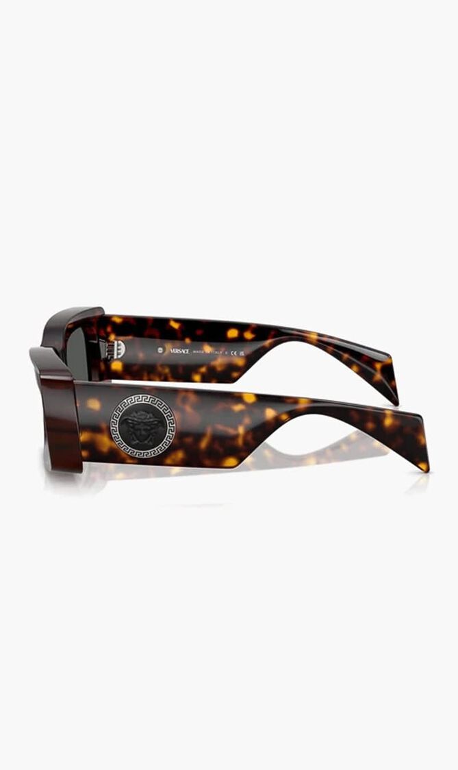 Havana Sunglasses