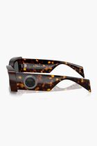 Havana Sunglasses