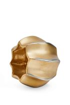 حلقة مناديل المائدة ديزرت باللونين الذهبي والفضي حلقة مناديل المائدة ديزرت باللونين الذهبي والفضي