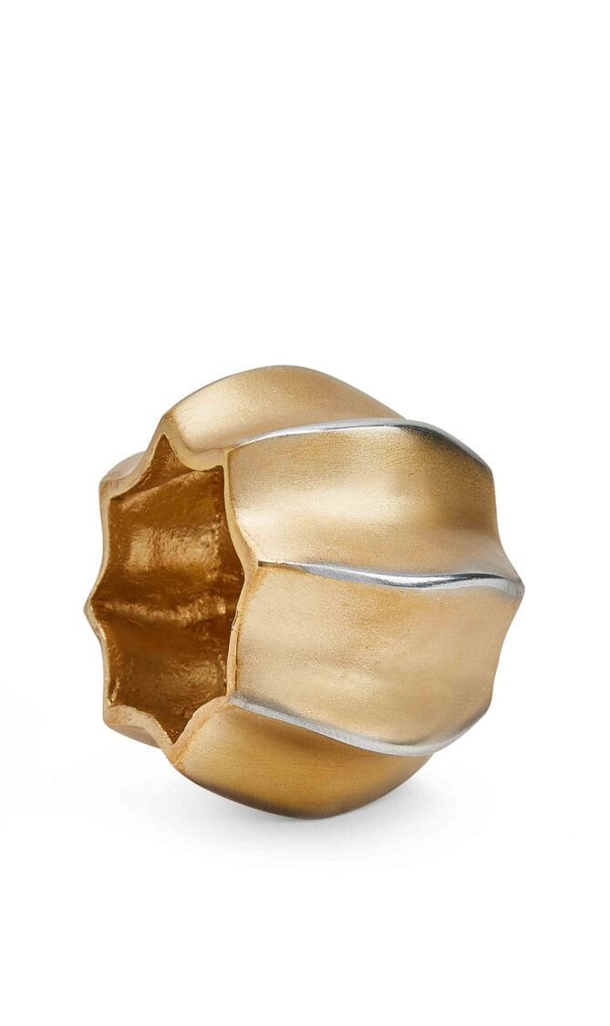 حلقة مناديل المائدة ديزرت باللونين الذهبي والفضي حلقة مناديل المائدة ديزرت باللونين الذهبي والفضي