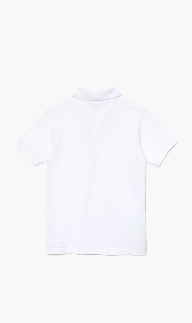 Regular Fit Ribbed Collar Polo