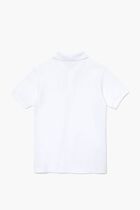 Regular Fit Ribbed Collar Polo