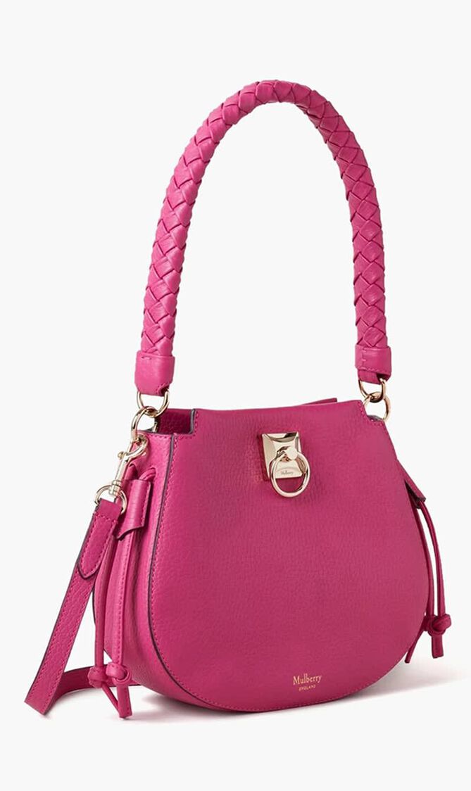 Mini Iris Hobo Shoulder Bag