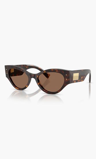 Full Rim Sunglasses
