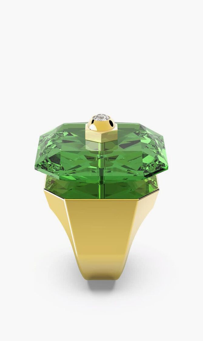 SJC STUDIOSA RING L ERIN GOS 58 MM