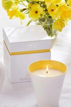 Sophie Conran Wax Fill Purpose