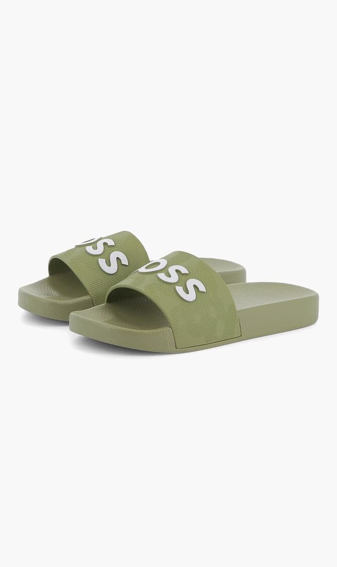 Logo Slides