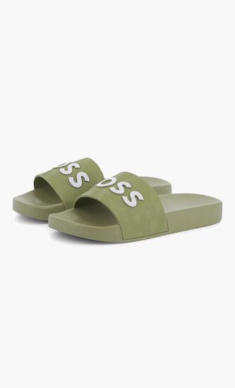 Logo Slides