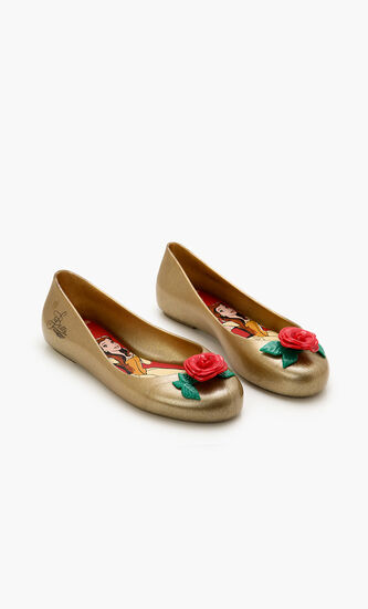 Disney Princess Ballerinas
