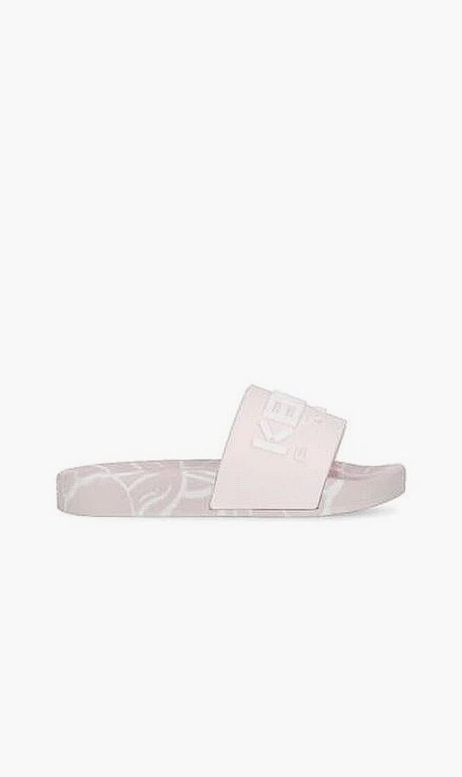 Aqua Slides