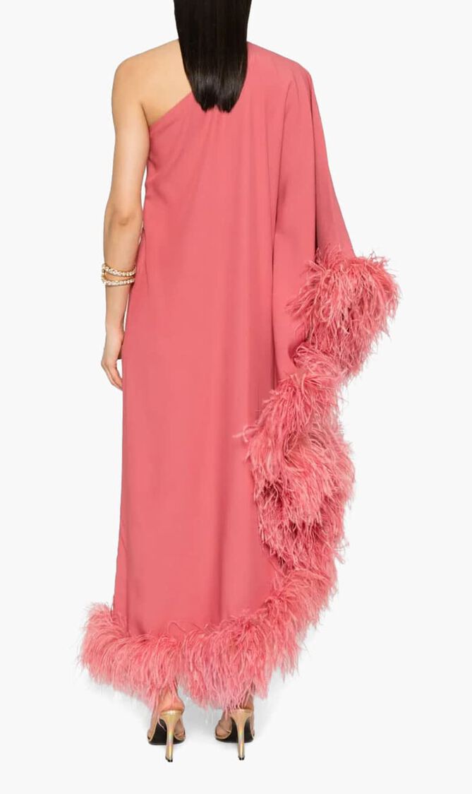 Feather Trim Dress