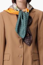 GraphicSilk Scarf