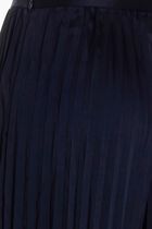 Pleated Wide Leg Pants