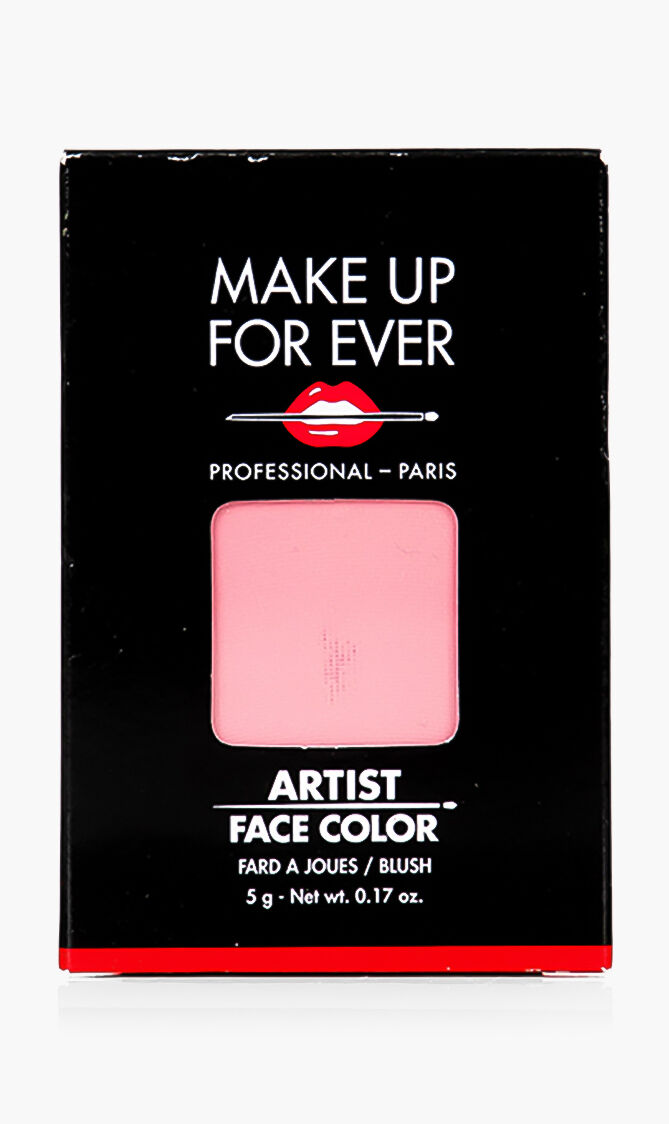 Artist Face Color Refill, B204