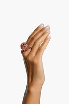 SJC RE CURIOSA RING S REORY/GOS 55MM