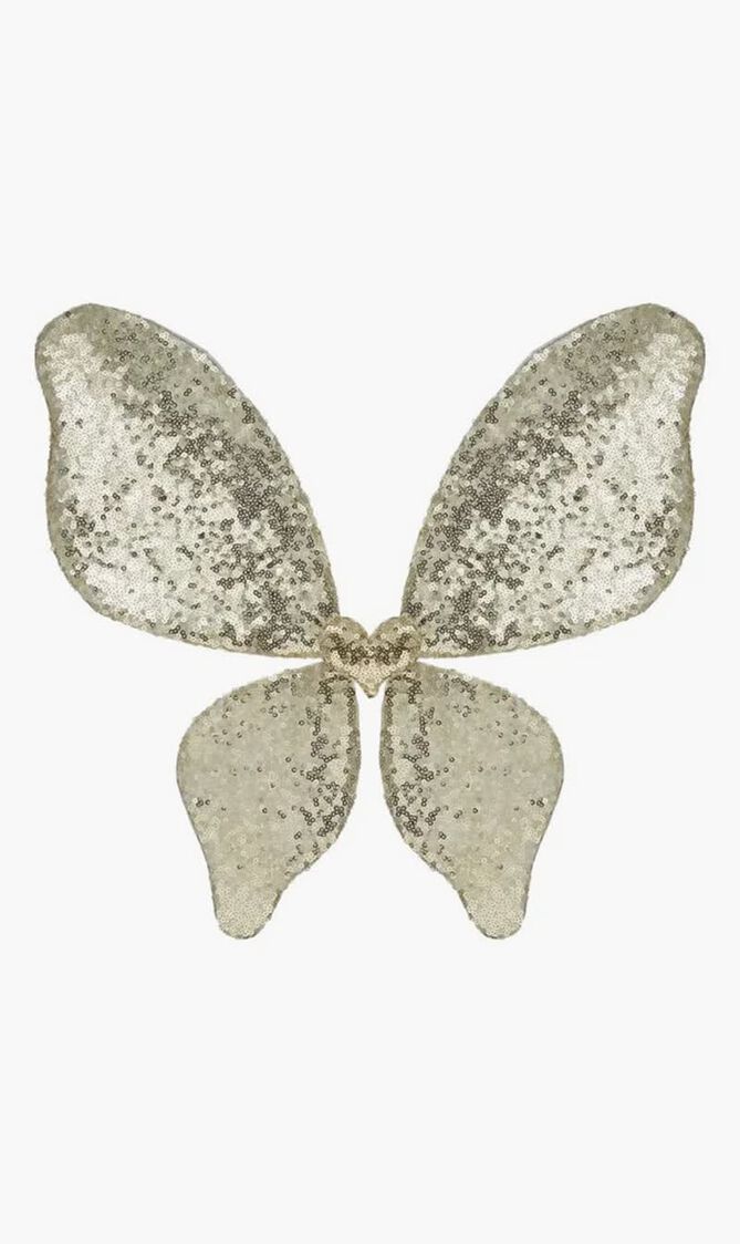 SPARKLE SEQUIN WINGS