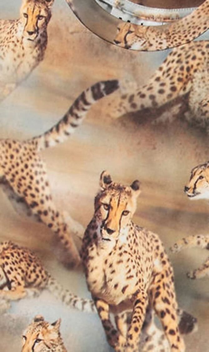 Cheetah Print T-shirt