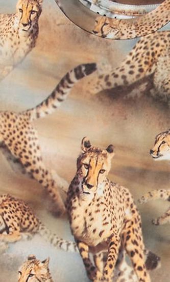 Cheetah Print T-shirt
