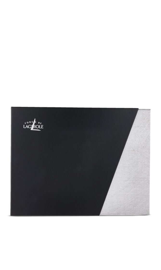 Set of 6 - Acrylic Handle Soup Spoons