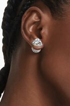 Lucent Stud Earrings